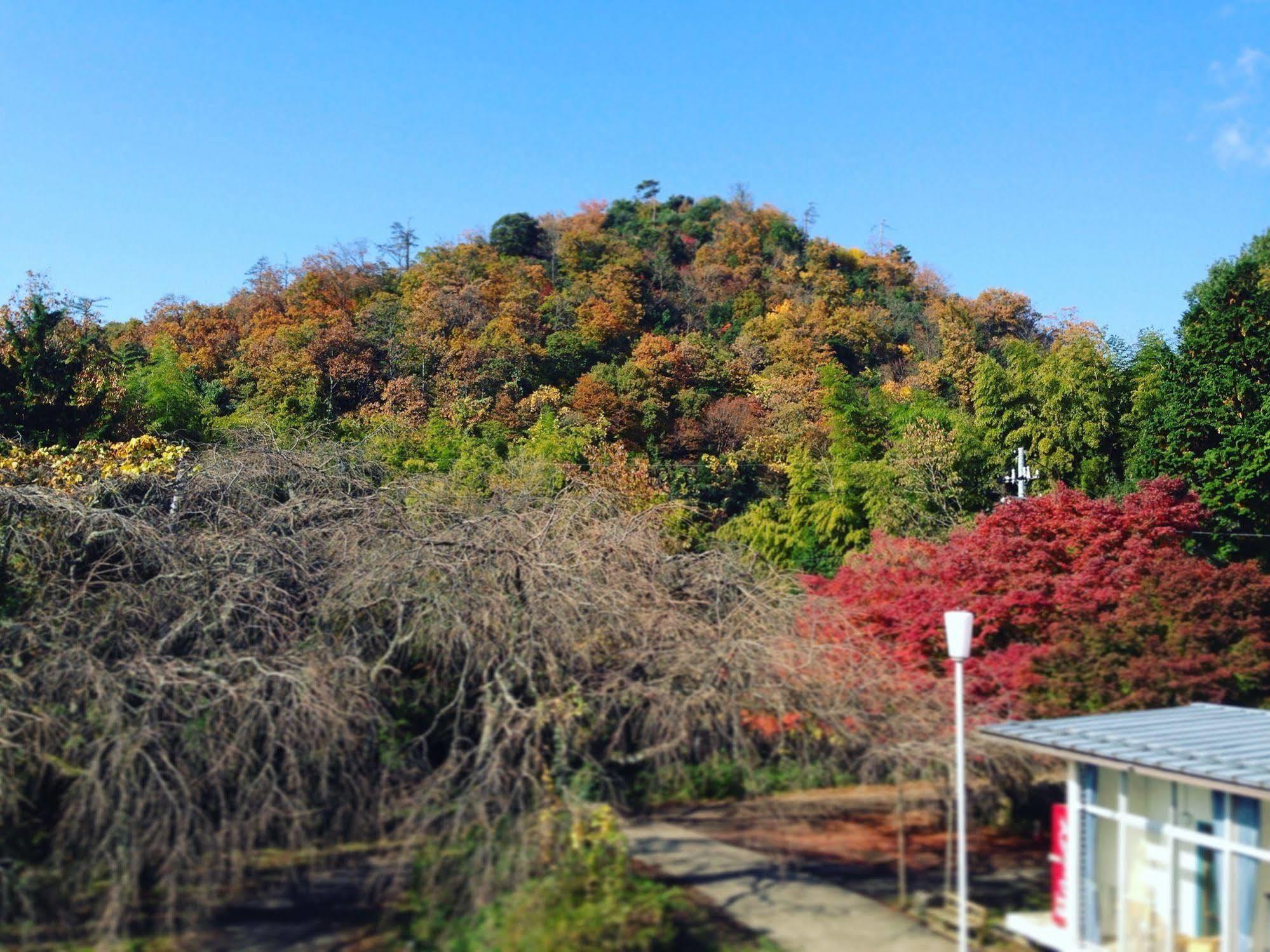 Amanohashidate Youth Hostel Miyazu Eksteriør bilde